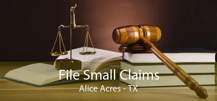 File Small Claims Alice Acres - TX