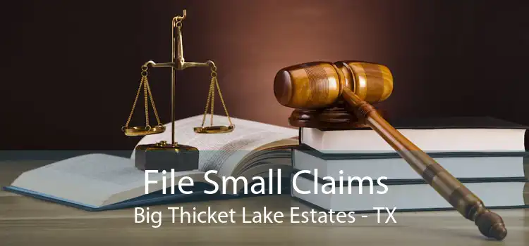File Small Claims Big Thicket Lake Estates - TX