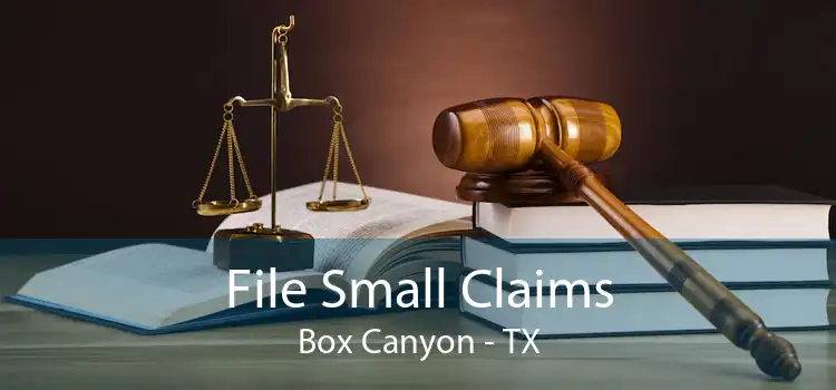 File Small Claims Box Canyon - TX