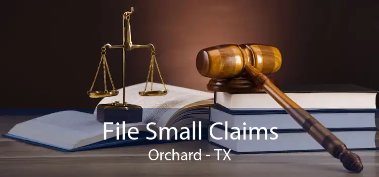 File Small Claims Orchard - TX