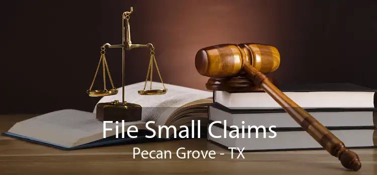 File Small Claims Pecan Grove - TX