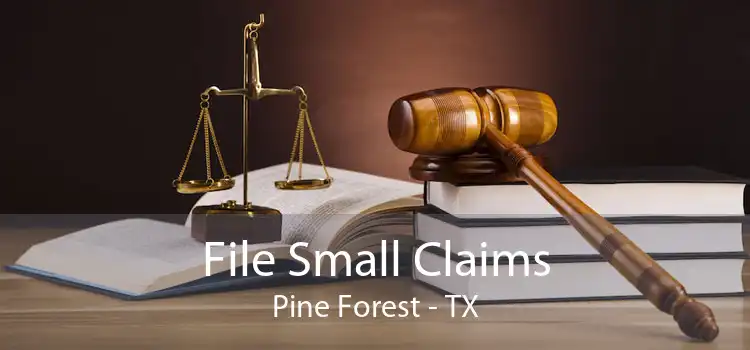 File Small Claims Pine Forest - TX