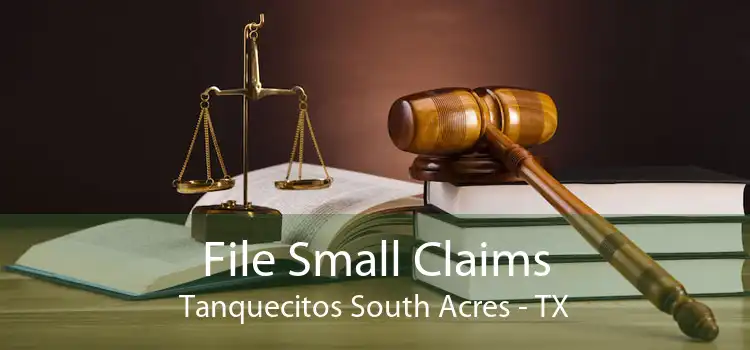 File Small Claims Tanquecitos South Acres - TX