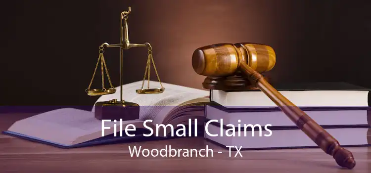 File Small Claims Woodbranch - TX