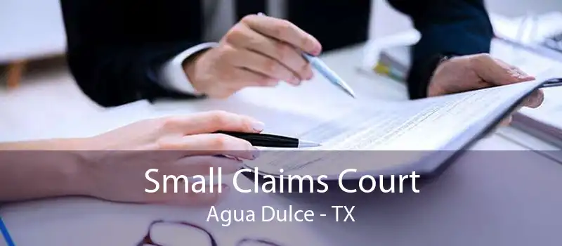 Small Claims Court Agua Dulce - TX