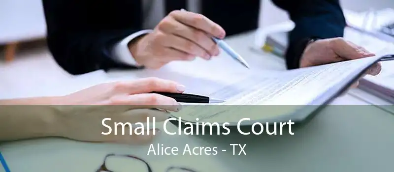 Small Claims Court Alice Acres - TX