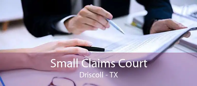 Small Claims Court Driscoll - TX