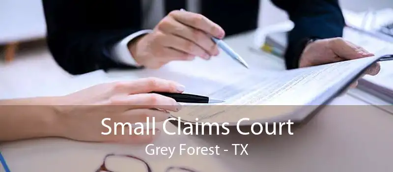 Small Claims Court Grey Forest - TX