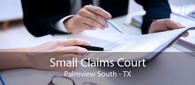 Small Claims Court Palmview South - TX